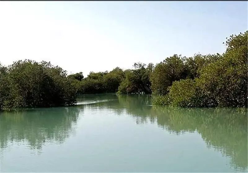 جزیره نخیلو - تصویر 4