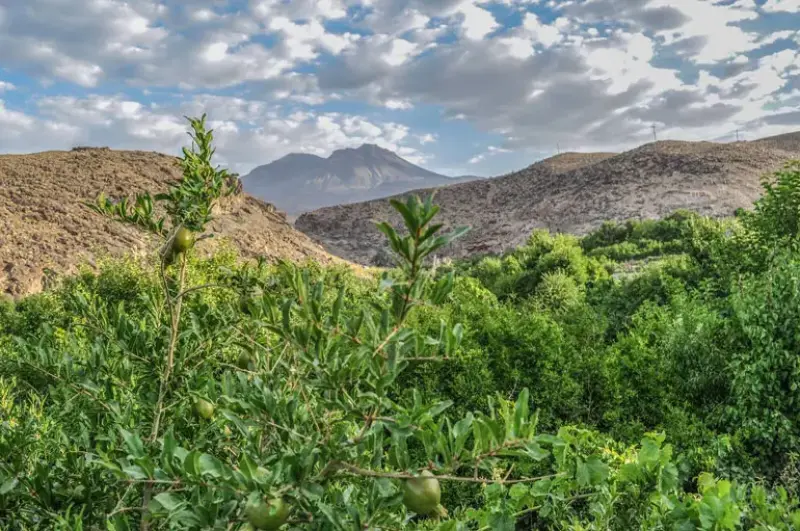 کوه تفتان - تصویر 6