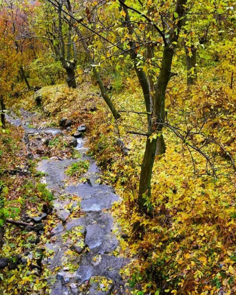 روستای تالون - تصویر 2