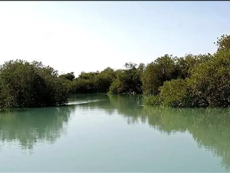 جزیره نخیلو - تصویر 4