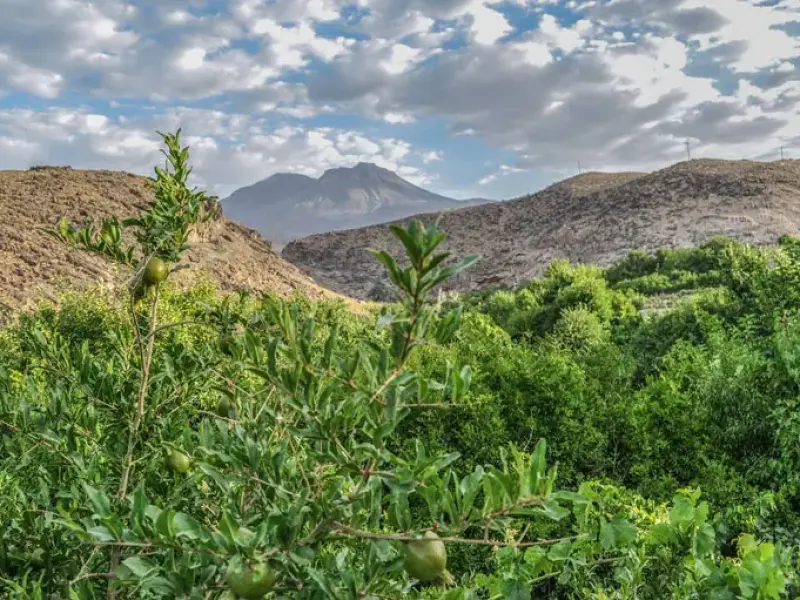 کوه تفتان - تصویر 6