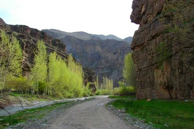 دره آل - تصویر 2