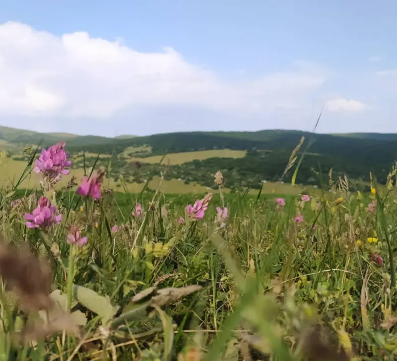 روستای ننه‌کران - تصویر 1