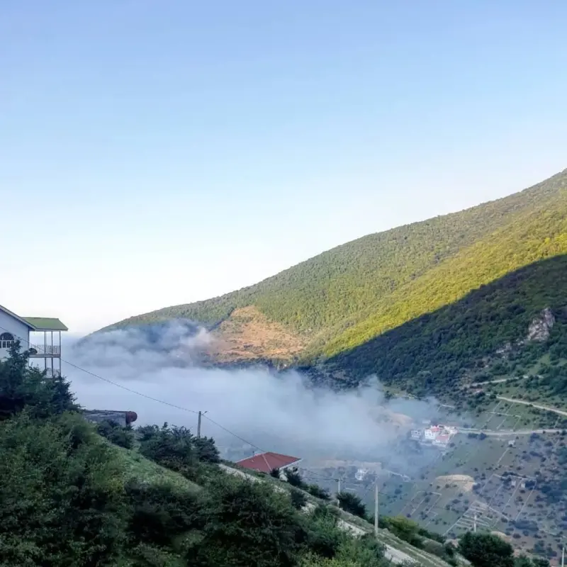 جنگل مجل - تصویر 2