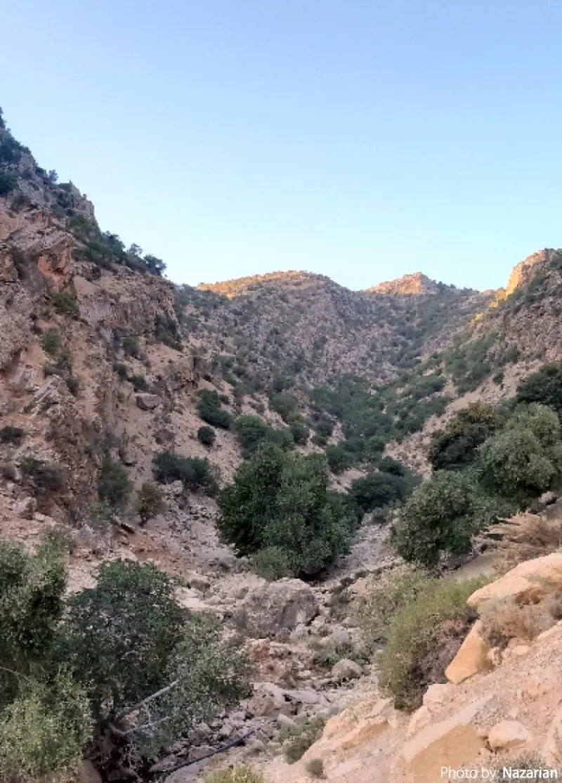 تنگ خانی - تصویر 7