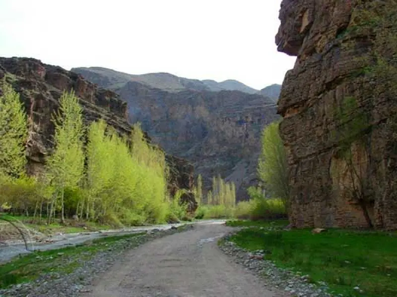دره آل - تصویر 2