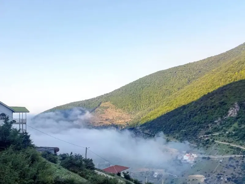 جنگل مجل - تصویر 2