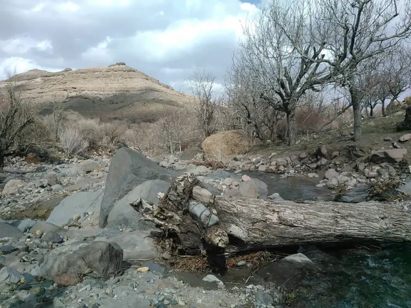 روستای ریسه - تصویر 2