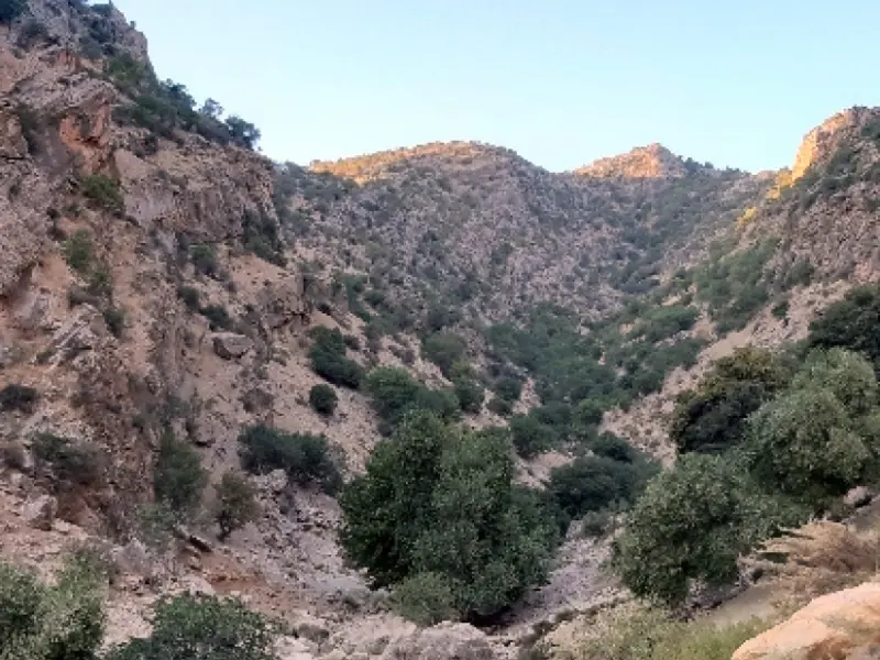 تنگ خانی - تصویر 7