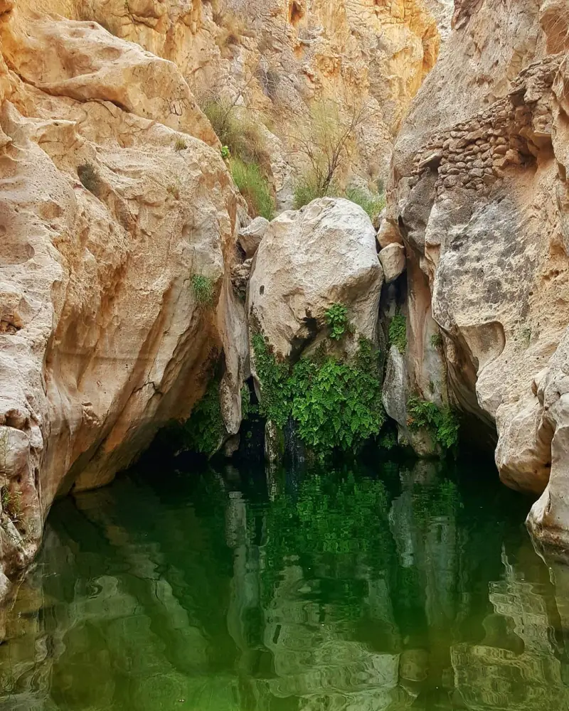 تنگ مخدان - تصویر 7
