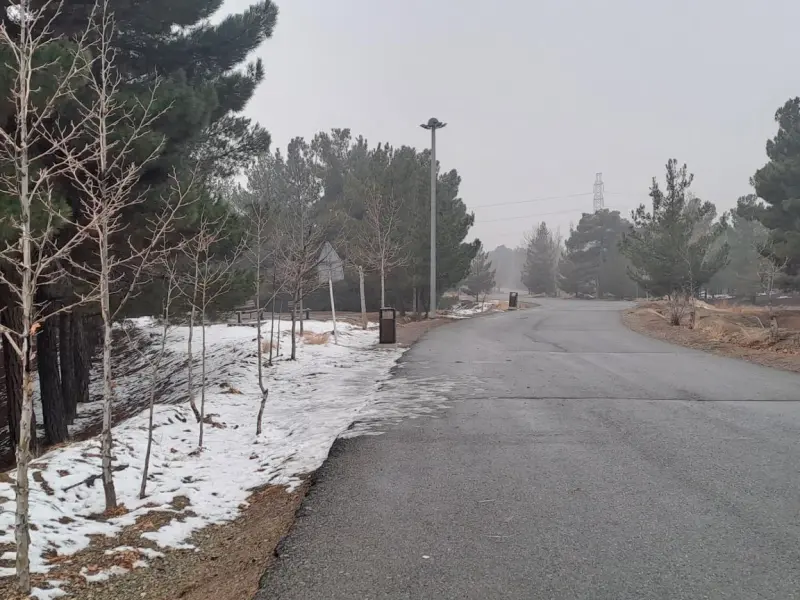 پارک جنگلی‌ یاس - تصویر 5