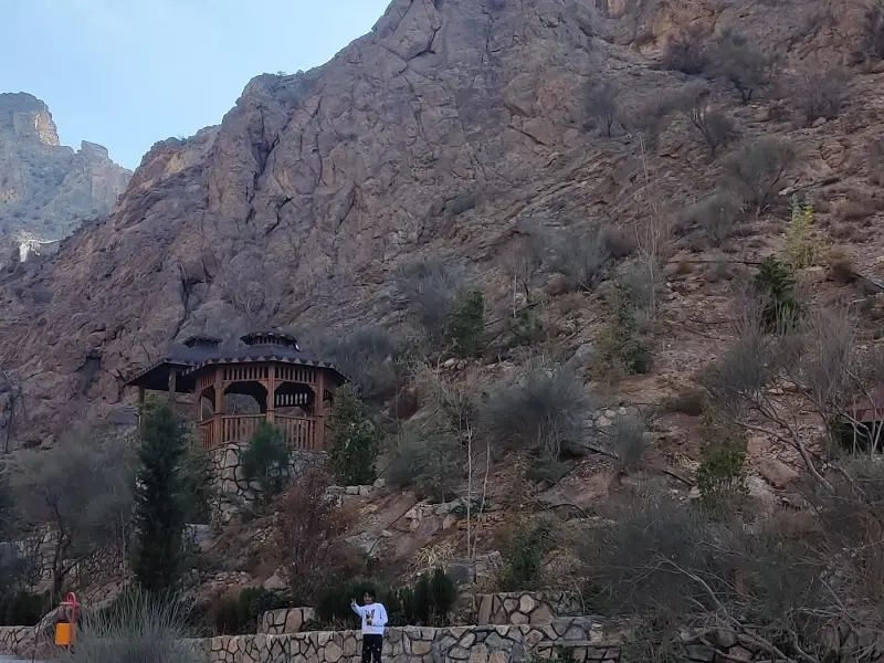 گهر پارک - تصویر 13