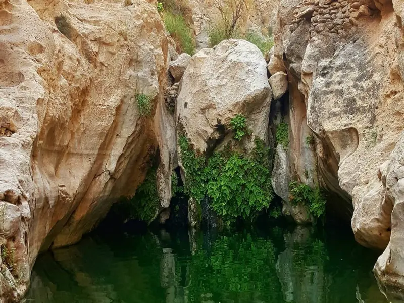 تنگ مخدان - تصویر 7