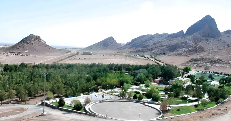 دریاچه زیتون - تصویر 5