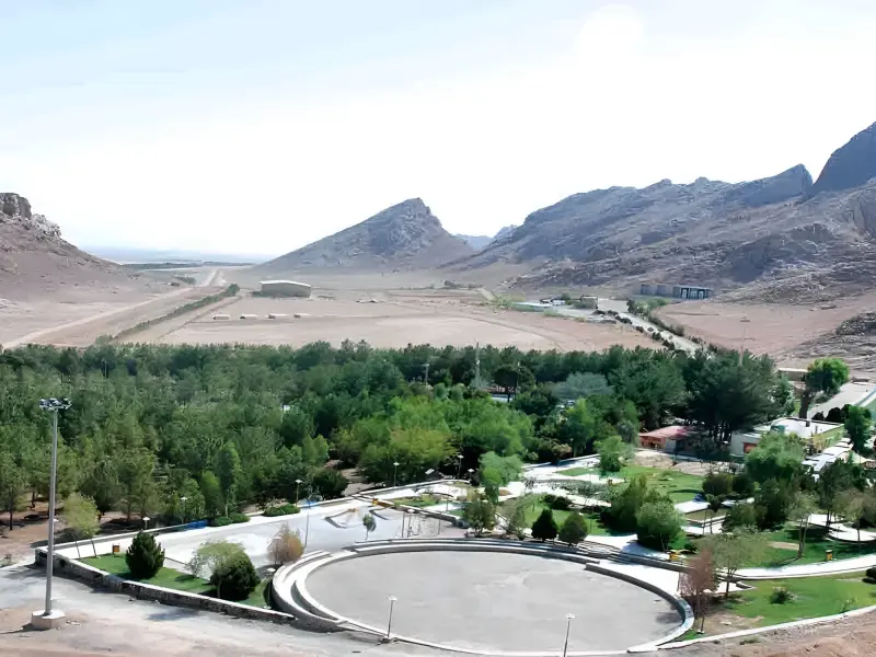 دریاچه زیتون - تصویر 5