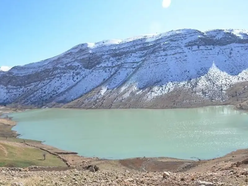 دریاچه مور زرد - تصویر 1