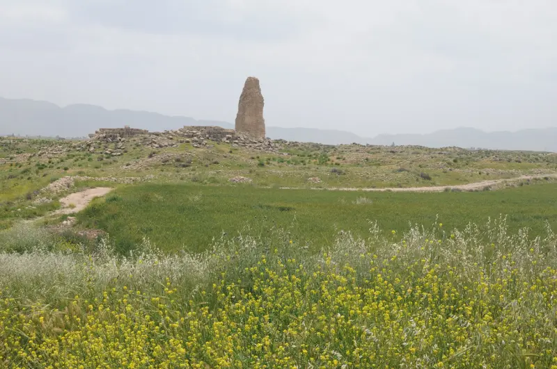 شهر باستانی گور - تصویر 3