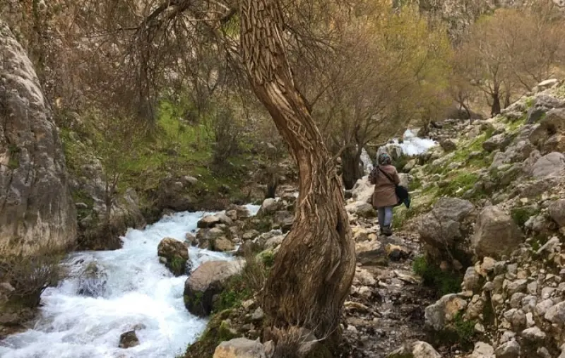 آبشار شیوند - تصویر 3