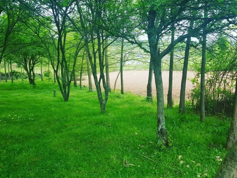 روستای ارزفون - تصویر 2