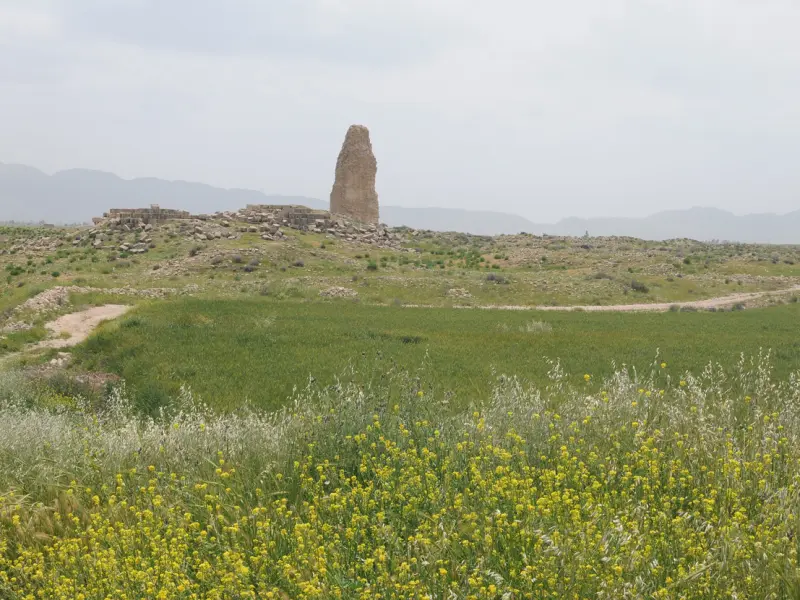 شهر باستانی گور - تصویر 3