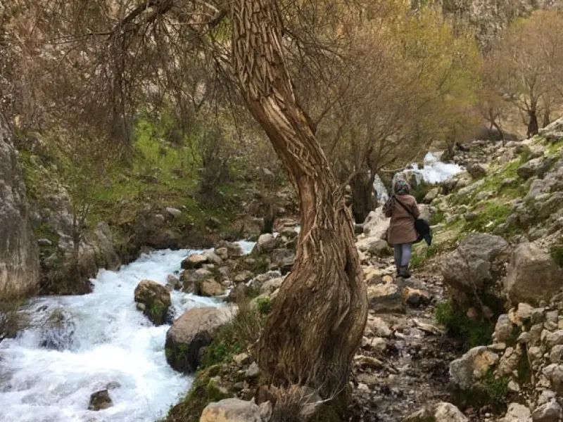 آبشار شیوند - تصویر 3
