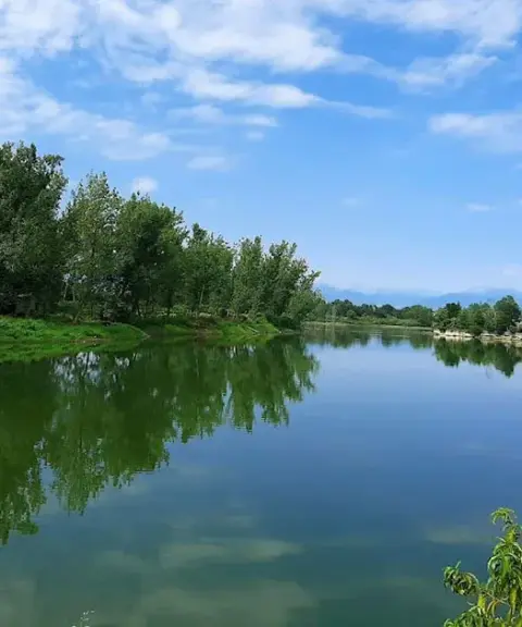 تالاب عینک، گیلان