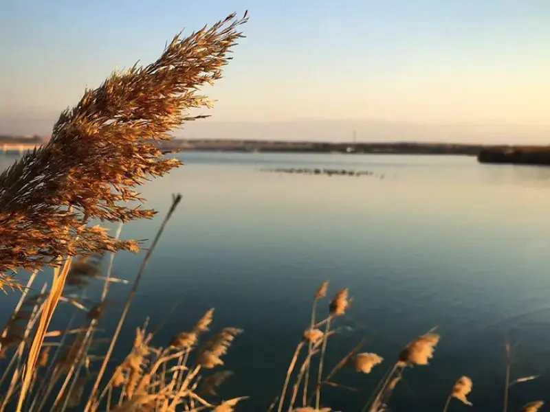 تالاب عشق‌ آباد - تصویر 1