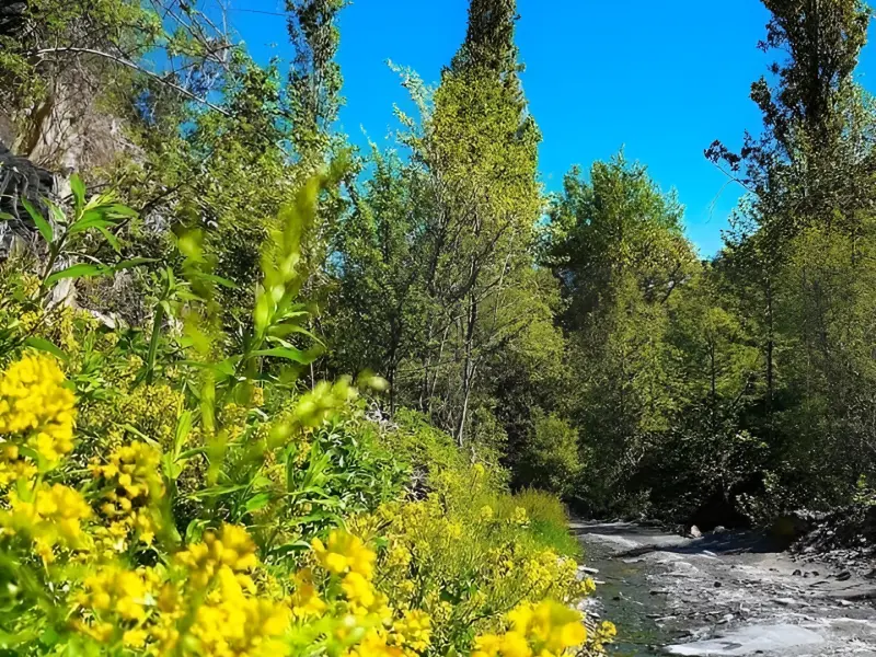 روستای کردینه - تصویر 3