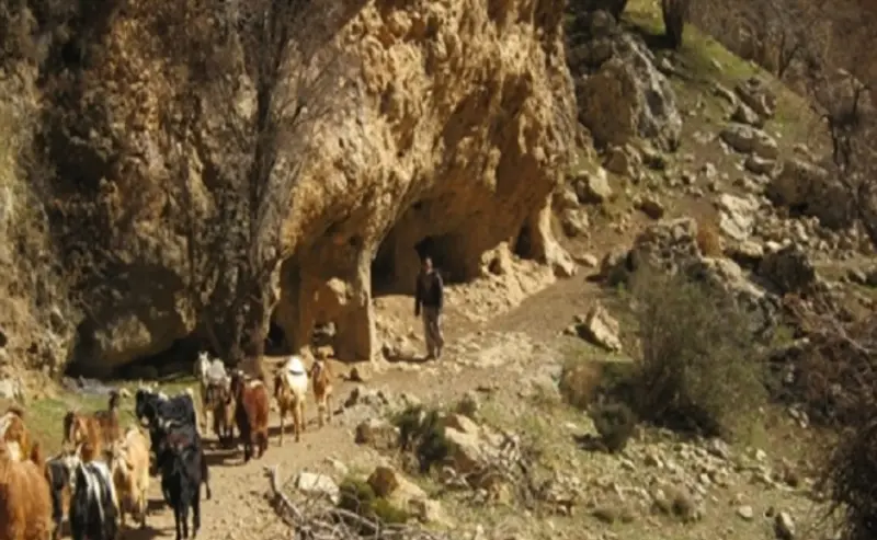 تنگ خانی - تصویر 6