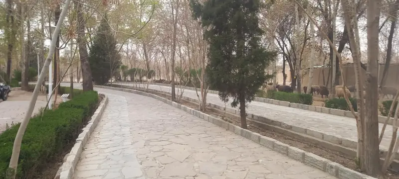 پارک جنگلی ناژوان - تصویر 6