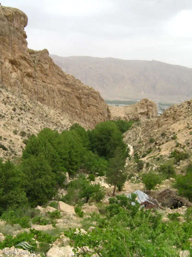 تنگ لای تاریک - تصویر 2