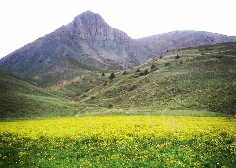 پارک ملی ساریگل - تصویر 2