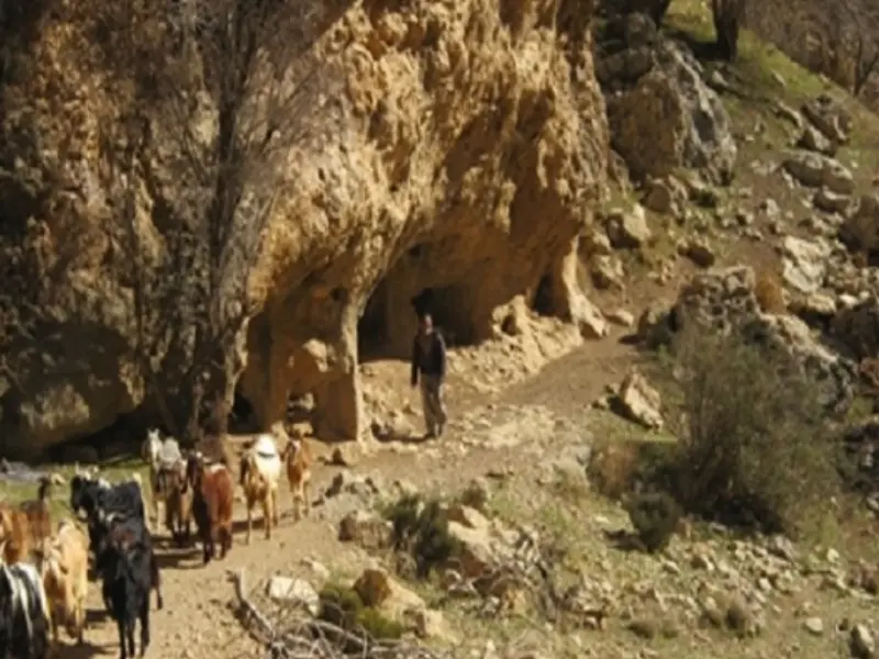 تنگ خانی - تصویر 6