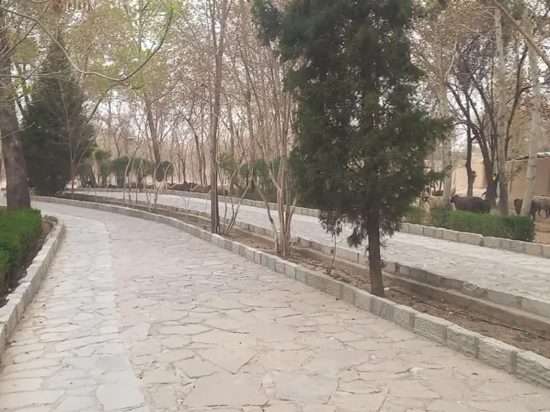 پارک جنگلی ناژوان - تصویر 6