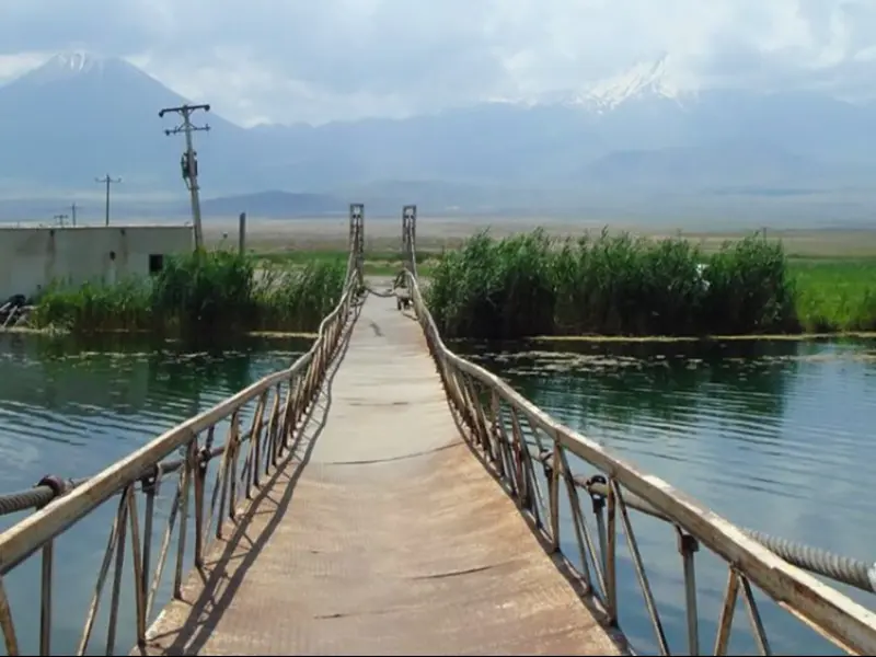 چشمه ثریا - تصویر 2