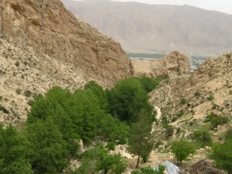 تنگ لای تاریک - تصویر 2