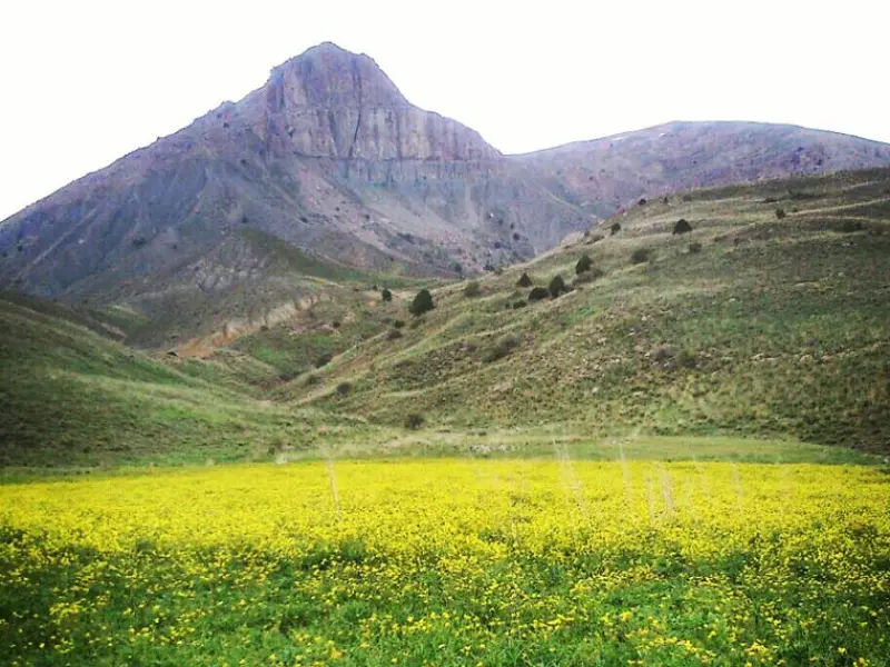 پارک ملی ساریگل - تصویر 2