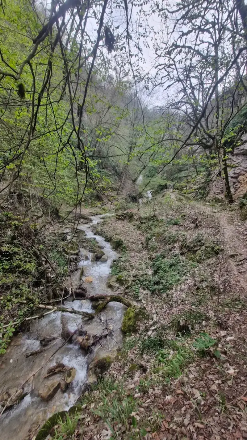 آبشار چلم زرین گل - تصویر 3