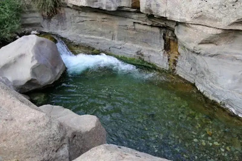 چال ماهی تهران - تصویر 7