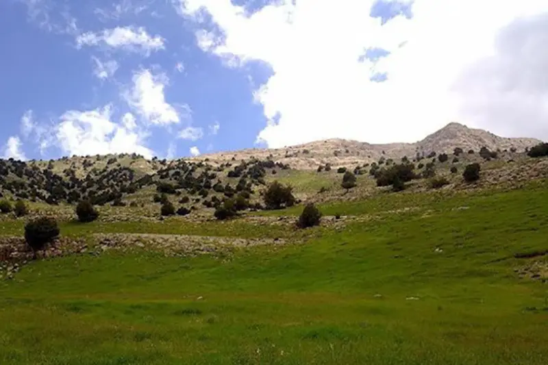 منطقه حفاظت‌شده سرانی - تصویر 4