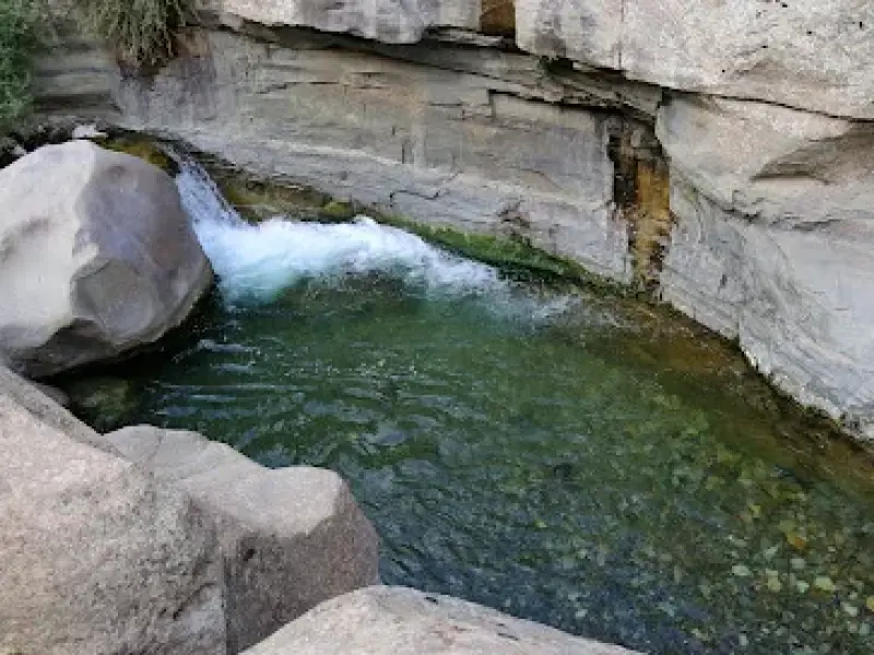 چال ماهی تهران - تصویر 7