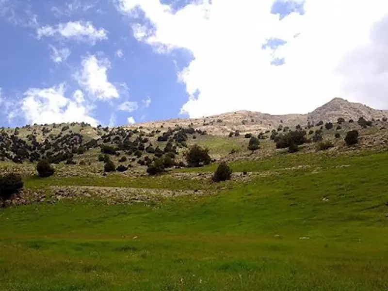 منطقه حفاظت‌شده سرانی - تصویر 4