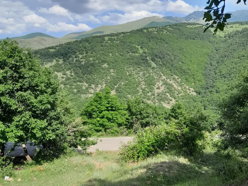 دره مکیدی