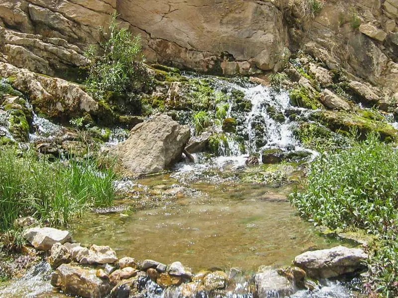 تنگه روزیه - تصویر 6