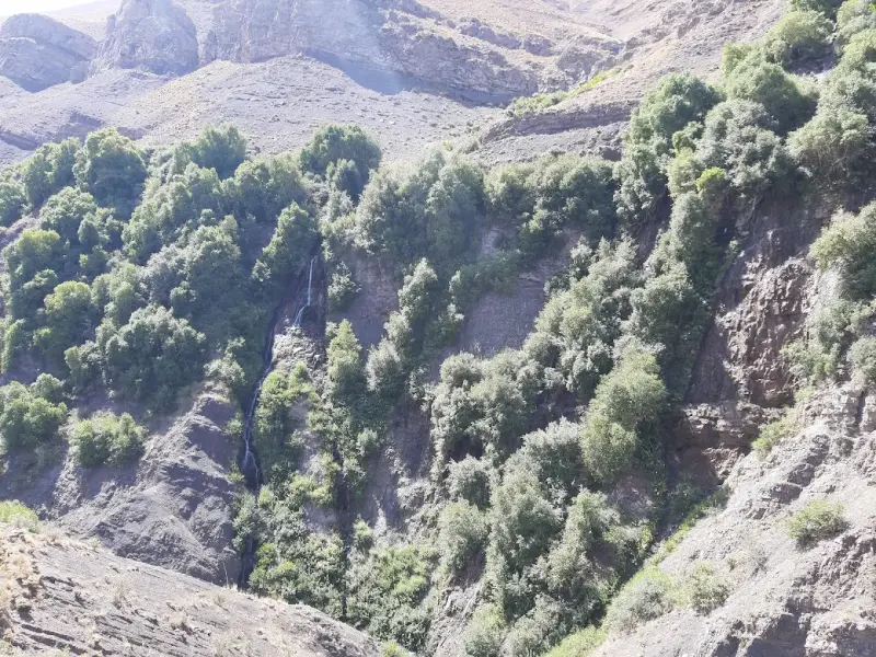 آبشار جنگلک - تصویر 2