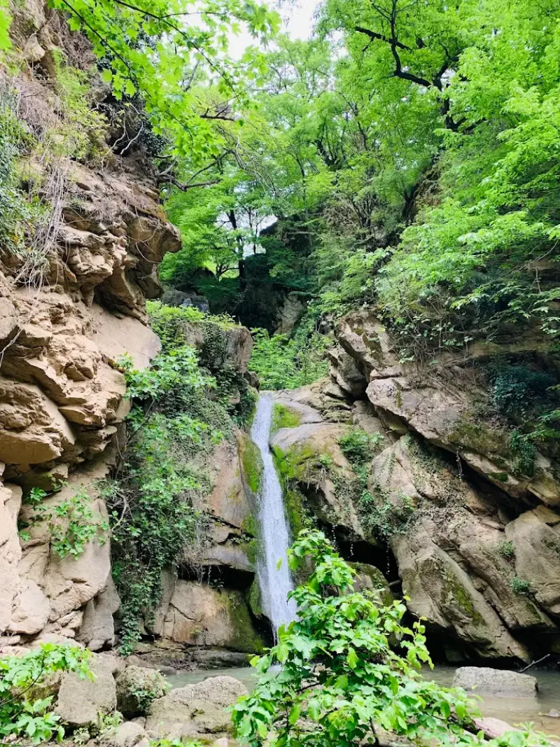 آبشار سران - تصویر 8