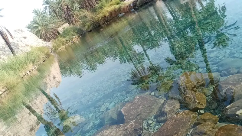 چشمه سبز پوشان - تصویر 7