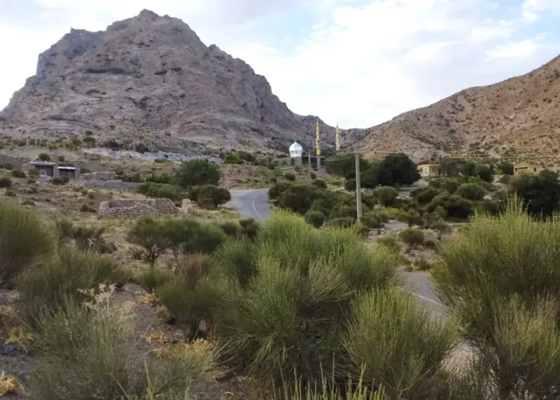 روستای ریسه - تصویر 1