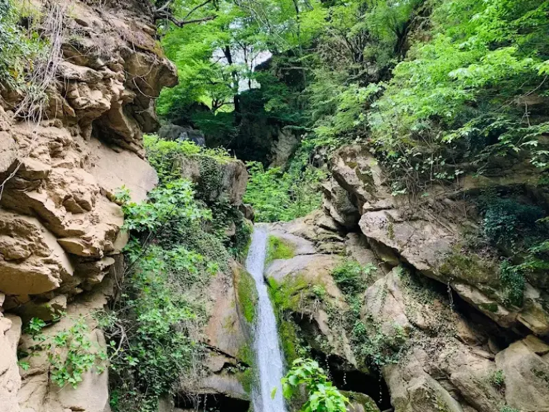آبشار سران - تصویر 8