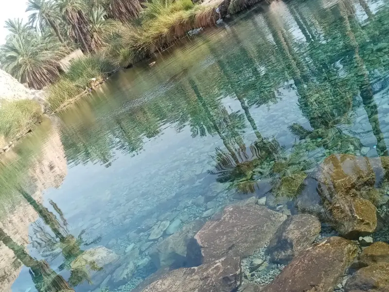 چشمه سبز پوشان - تصویر 7
